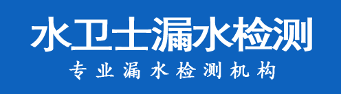 曹妃甸暗管漏水检测