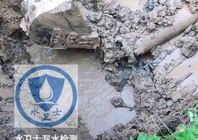 曹妃甸水管漏水检测公司5